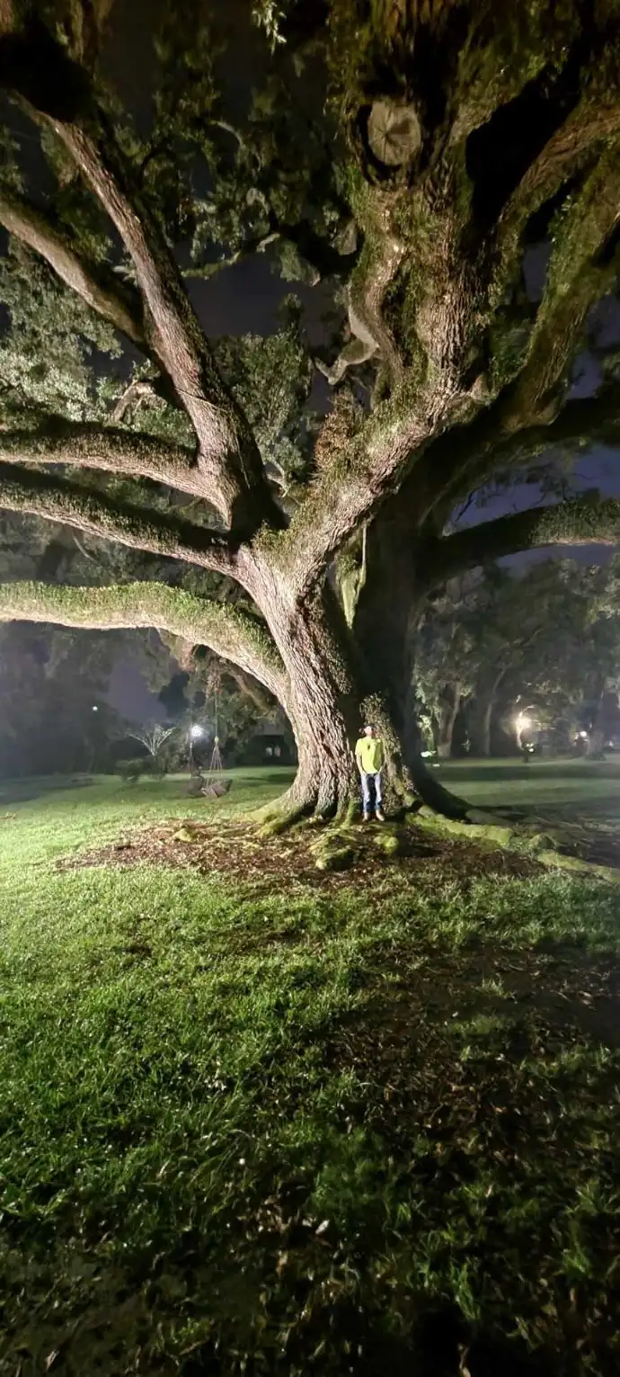 Local Wichita arborist and owner standing before a massive cottonwood tree prepared for professional removal and safety assessment.