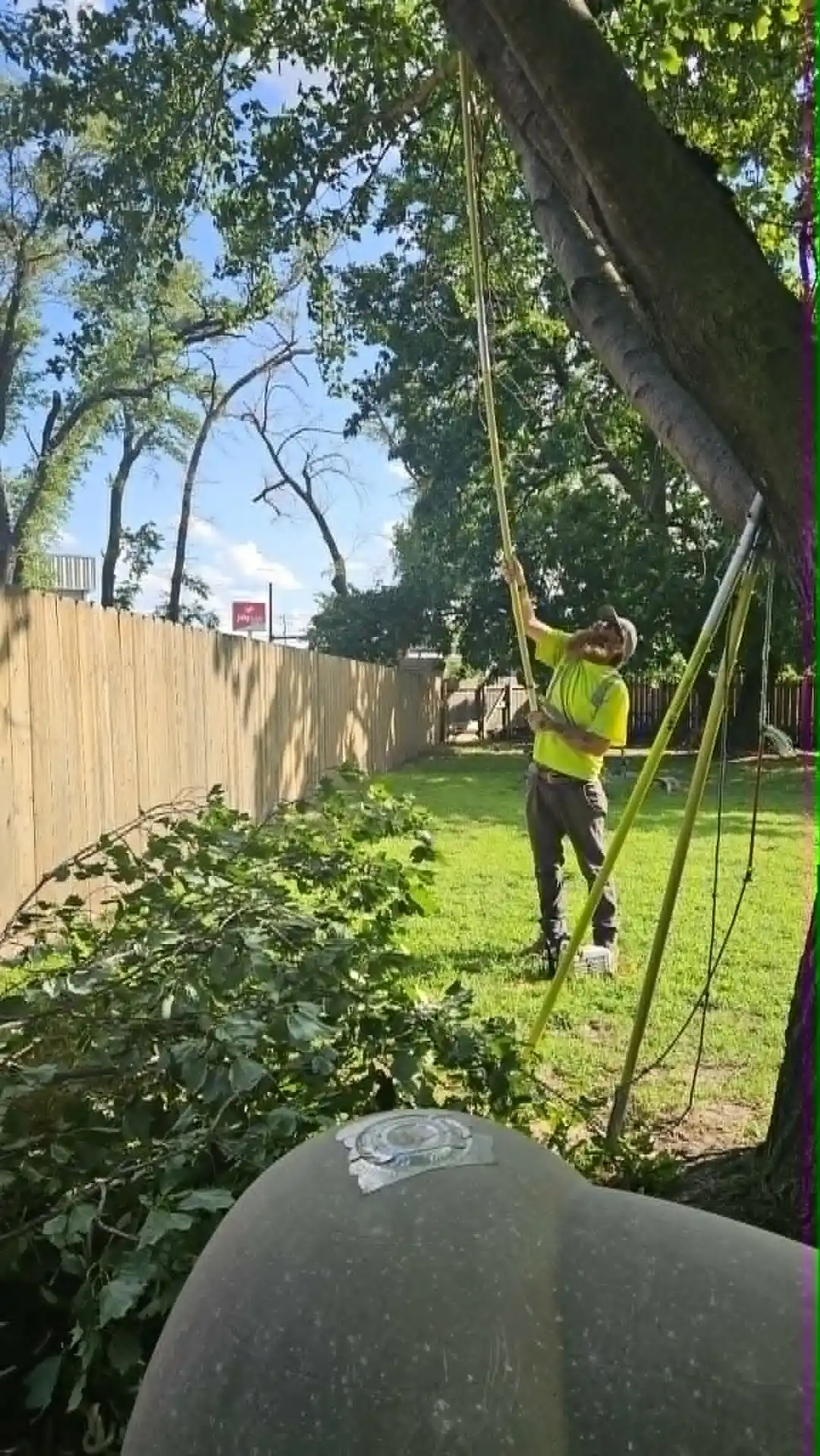 Arborist Dylan Patterson using an extended pole saw to prune high, difficult-to-reach branches during a tree maintenance service.